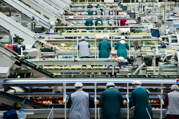 Food Industry - Alexander Magnettechnik
